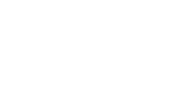 NetSuite Alliance Partner 2024