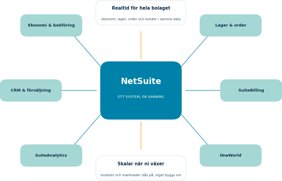 NetSuite-plattformen: ekonomi, lager, CRM, SuiteBilling, SuiteAnalytics och OneWorld i ett system
